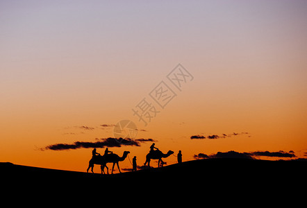 一小群游客在日落时乘骆驼穿过ErgChebbiDunes摩图片