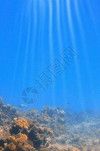 太阳光线穿过水的下场景图片