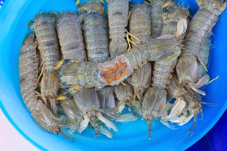 新鲜海产食品市场中的虾龙虾图片