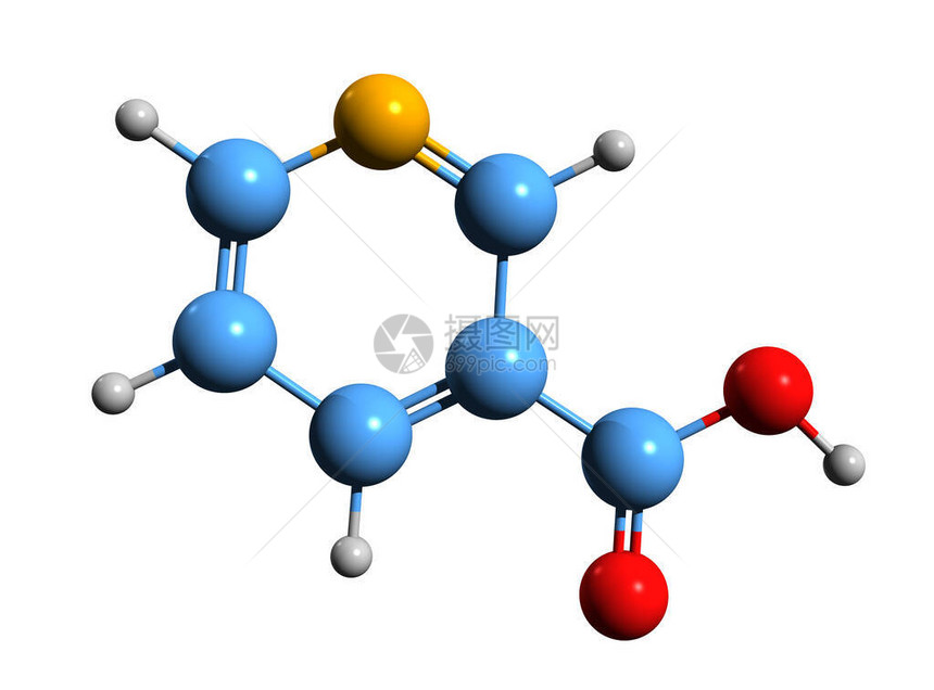 尼可辛酸骨骼配方的3D图像白底隔离的尼亚青或维生素B3图片