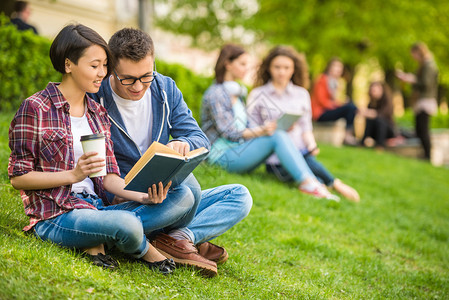 户外一起学习的大学生图片