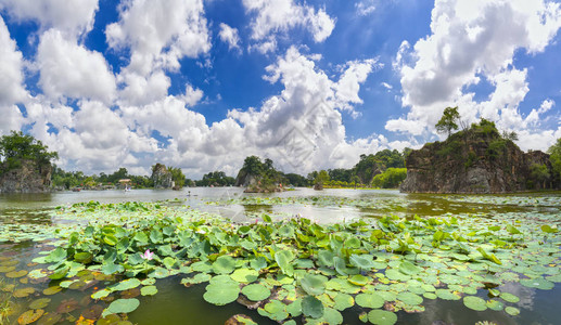 风景生态旅游与大型莲花池湖一起吸引游客在周图片