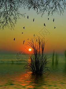 湖上美丽的日落景观图片