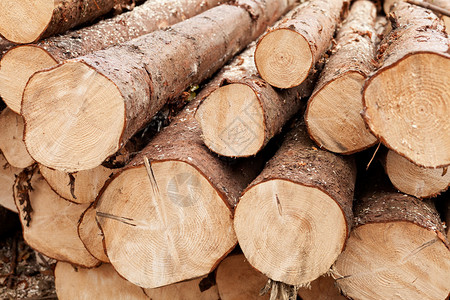 松原木木材工业图片