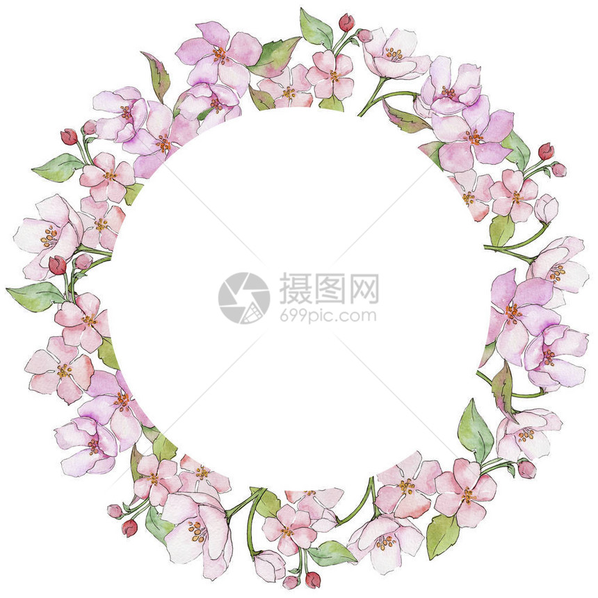 粉红色的樱花圆型边框装饰图片