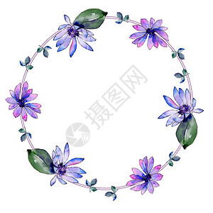 水彩紫色非洲雏菊花卉植物花框架边框装饰广场背景纹理包装图案框架或边框图片