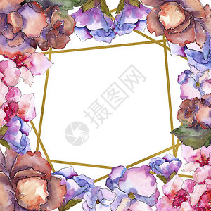 粉红色和紫色的栀子花卉植物花框架边框装饰广场背景纹理包装图案框架或边框图片