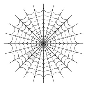 圆形蜘蛛网的插图图片