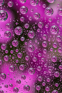 每滴水中都有粉红色花朵的花园每滴水都图片
