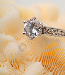 订婚戒指上的大圆形钻石图片