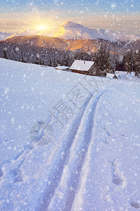 冬季风景和雪上滑雪图片