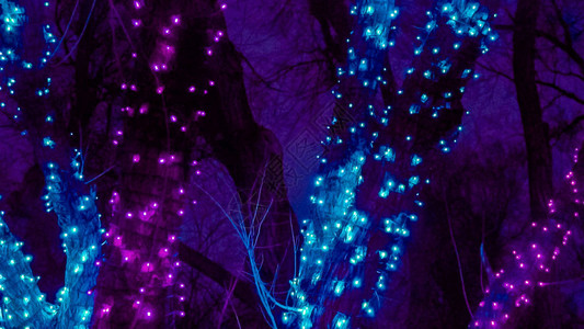 用蓝色和紫色圣诞灯装饰的树背景图片