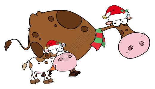 一只戴着圣诞老人帽子的奶牛妈发现的小牛背景图片