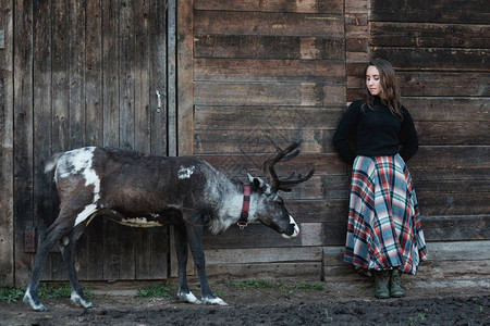 身穿格子裙的欧洲女孩站在木墙附近的驯鹿旁边图片