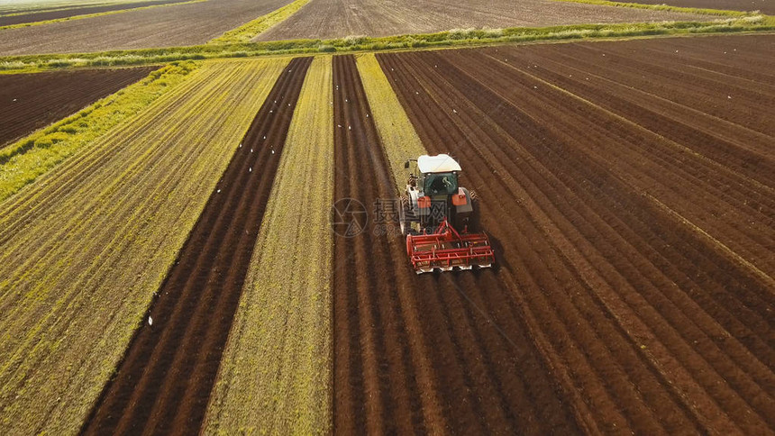 拖拉机的农民用苗床中耕机在农田里准备土地拖拉机犁地农业加工土地耕作农民准备土地图片