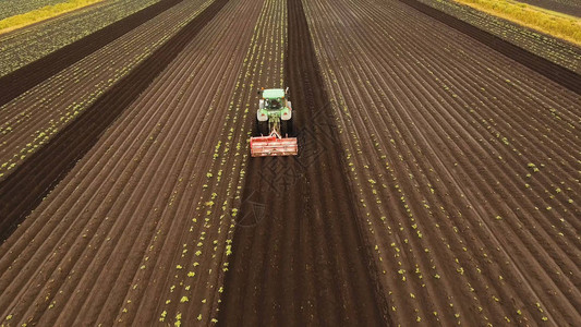 鸟瞰图拖拉机山土豆与圆盘山拖拉机的农民用苗床中耕机在农田里准备土地拖拉机犁地农背景图片