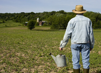 农田里的农民图片