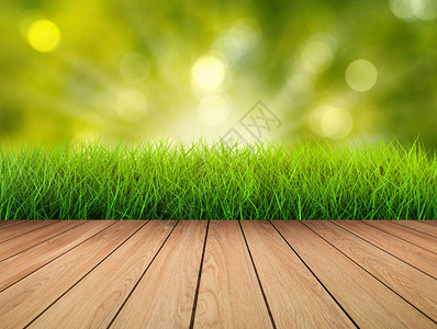 有绿色植物背景的木地板背景图片