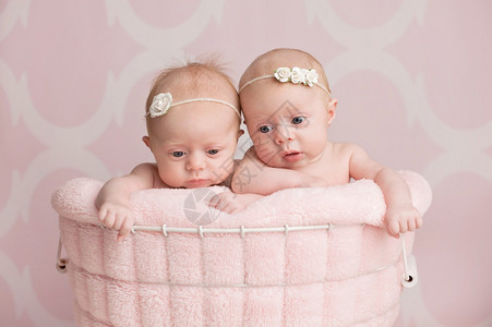 7周大的兄弟双胞胎女婴坐在铁丝篮里图片