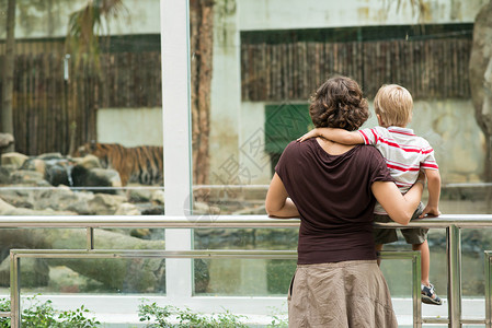 动物园里妈和儿子的背影图片