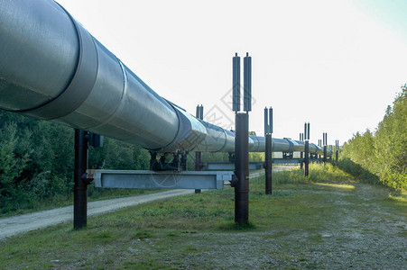 阿拉斯加的跨阿拉斯加输油管道高清图片