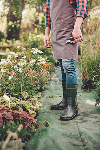围裙和橡皮靴的园艺员手拿着剪枝背景图片