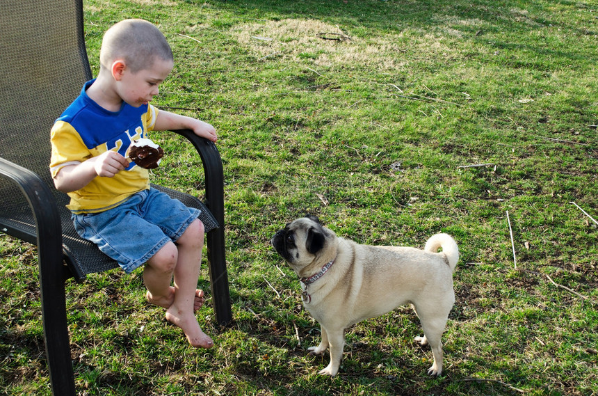 吃冰淇淋的小男孩盯着一只正在乞求咬一口的哈巴狗这是我图片