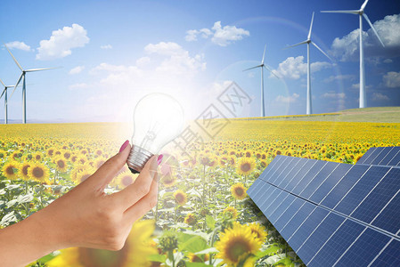 绿色能源是未来图片