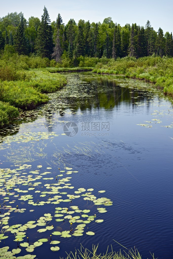 明尼苏达风景风景秀丽的明尼苏达州景观森林和河流图片