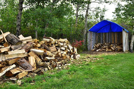一张被砍碎的木柴和有蓝色防火布屋顶的木材背景图片