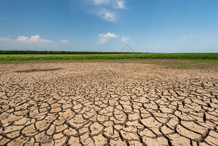 气候变化地面是干燥的干图片
