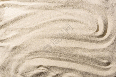 带平流波的纹理沙尘色蜜蜂图片
