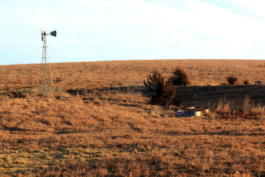 风车为牧场上的牲畜提供水图片