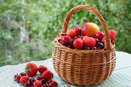 以树叶为背景的果子和水果配有果实背景图片