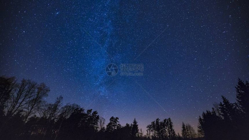 美丽的夜空与银河在森图片