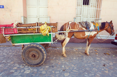 古巴特立尼达老城的马车图片