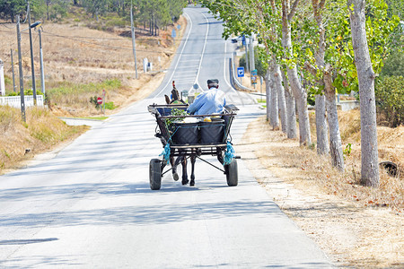 在葡萄牙驾驶马车的农民图片
