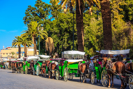 马拉克什正广场上等待游客的马车在马拉喀什图片