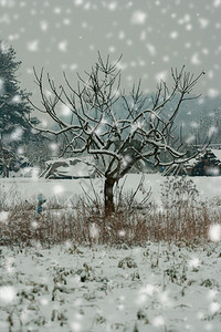 下雪时在12月的图片