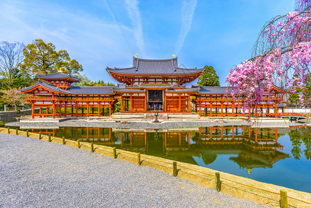 日本京都宇治平等院的春季景色图片