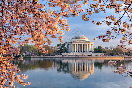 托马斯杰斐逊纪念堂的春景图片