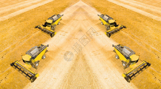 关于小麦田的合并收割者的空中观察图片