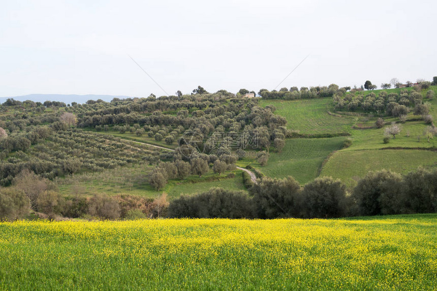 意大利卡拉布里亚地区的山图片