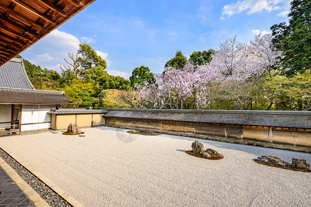 南山智园京都日本的良治寺背景