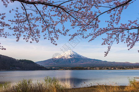 春天的日本富士山图片