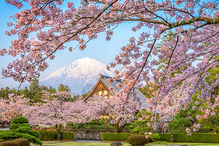 日本富士山的春天景色图片