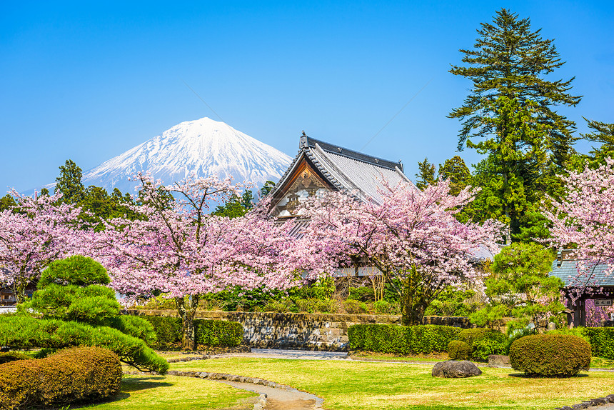 日本富士山的春景图片