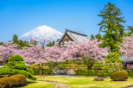 日本富士山的春景图片
