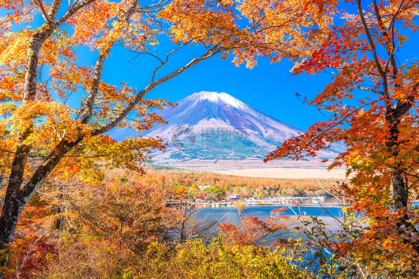 富士山日本秋天黄昏图片