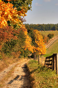 推车路和秋天风景秋天的颜图片